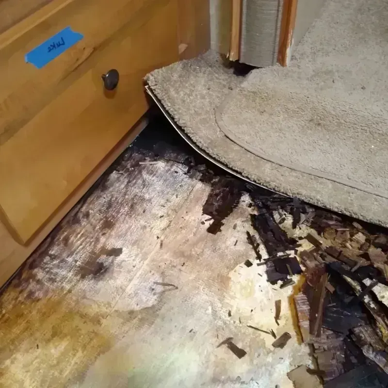 Best Wood Floor Water Damage Service in Mount Ivy, NY